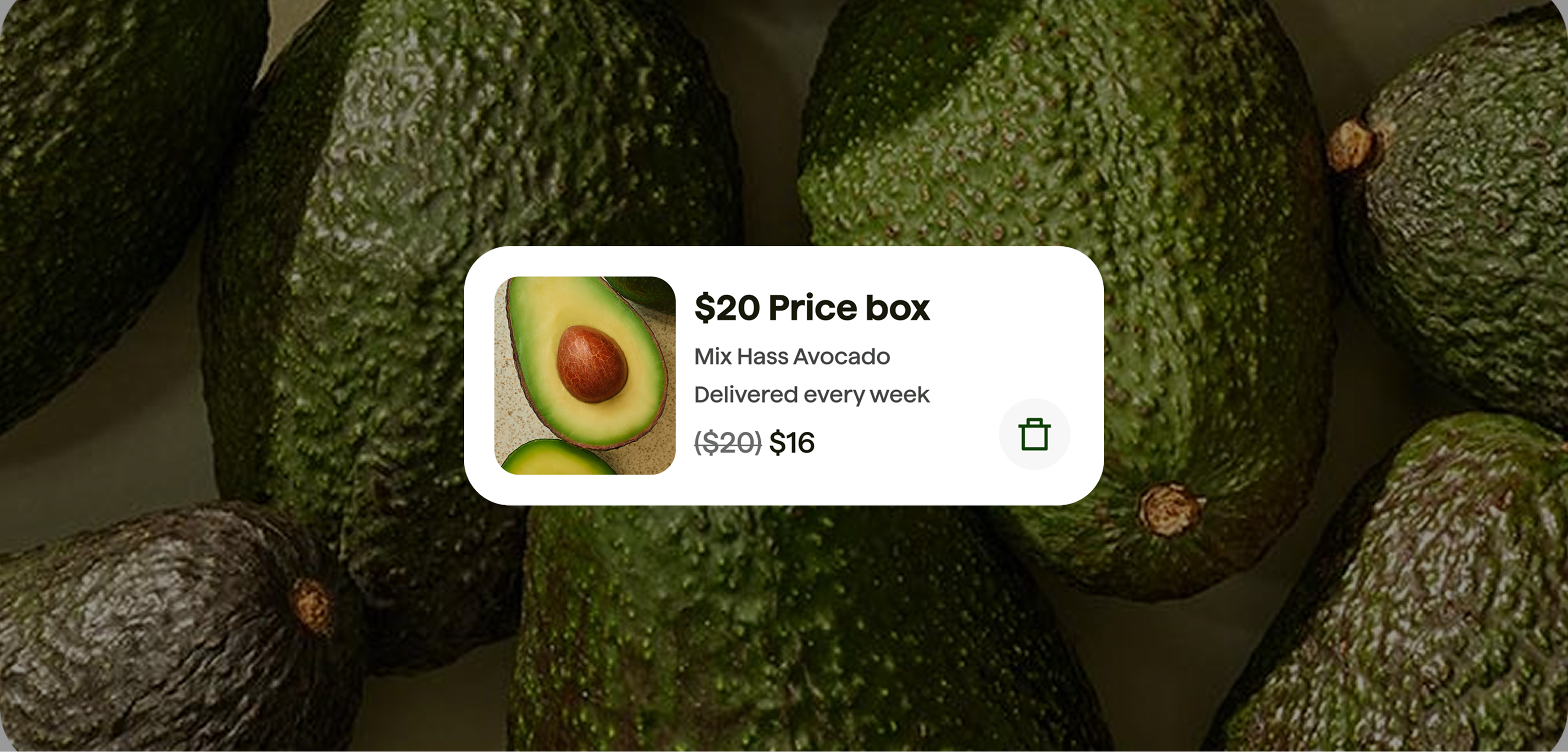 Avocado food
