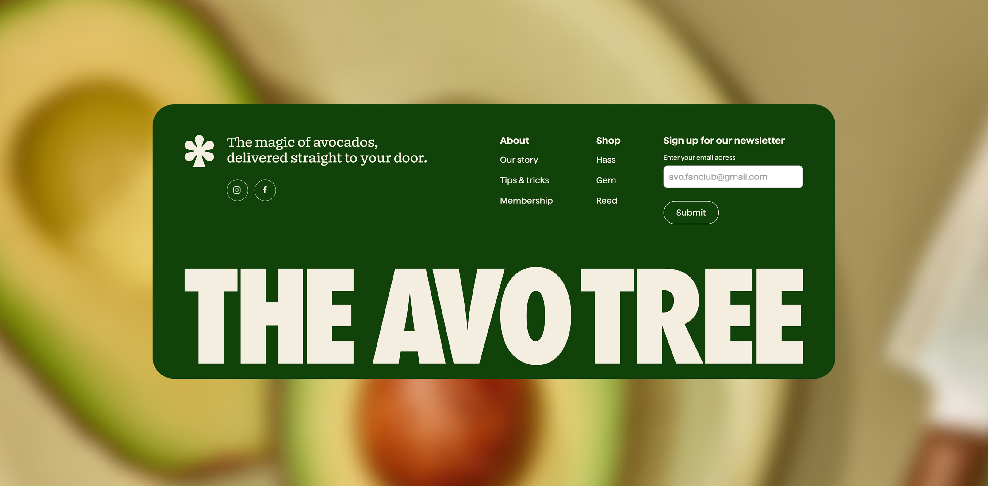 Avocado food
