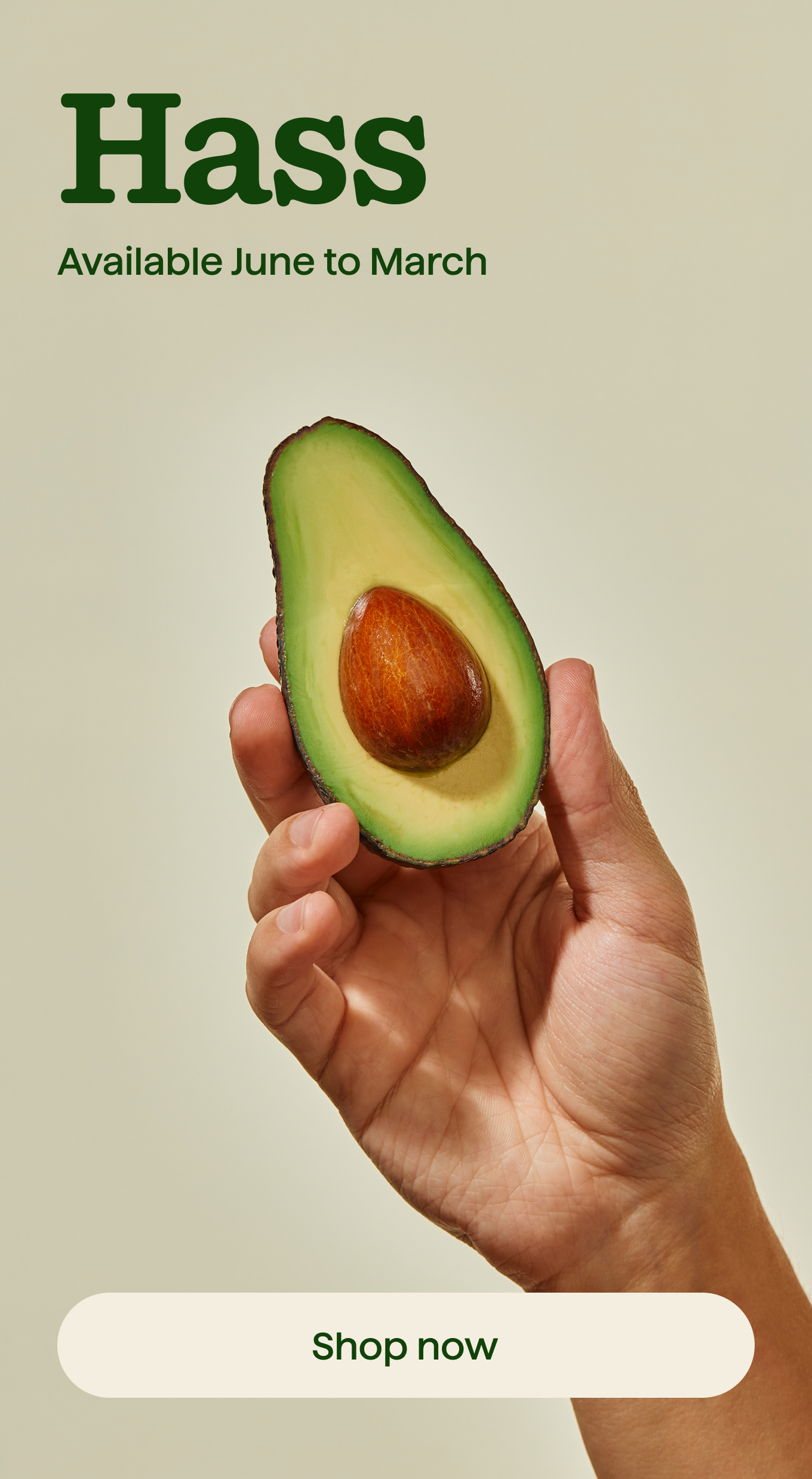 Avocado food